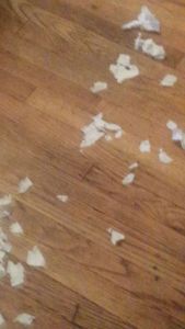 The homework he tore up