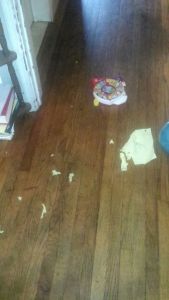 Snapchat--7079276288525959351